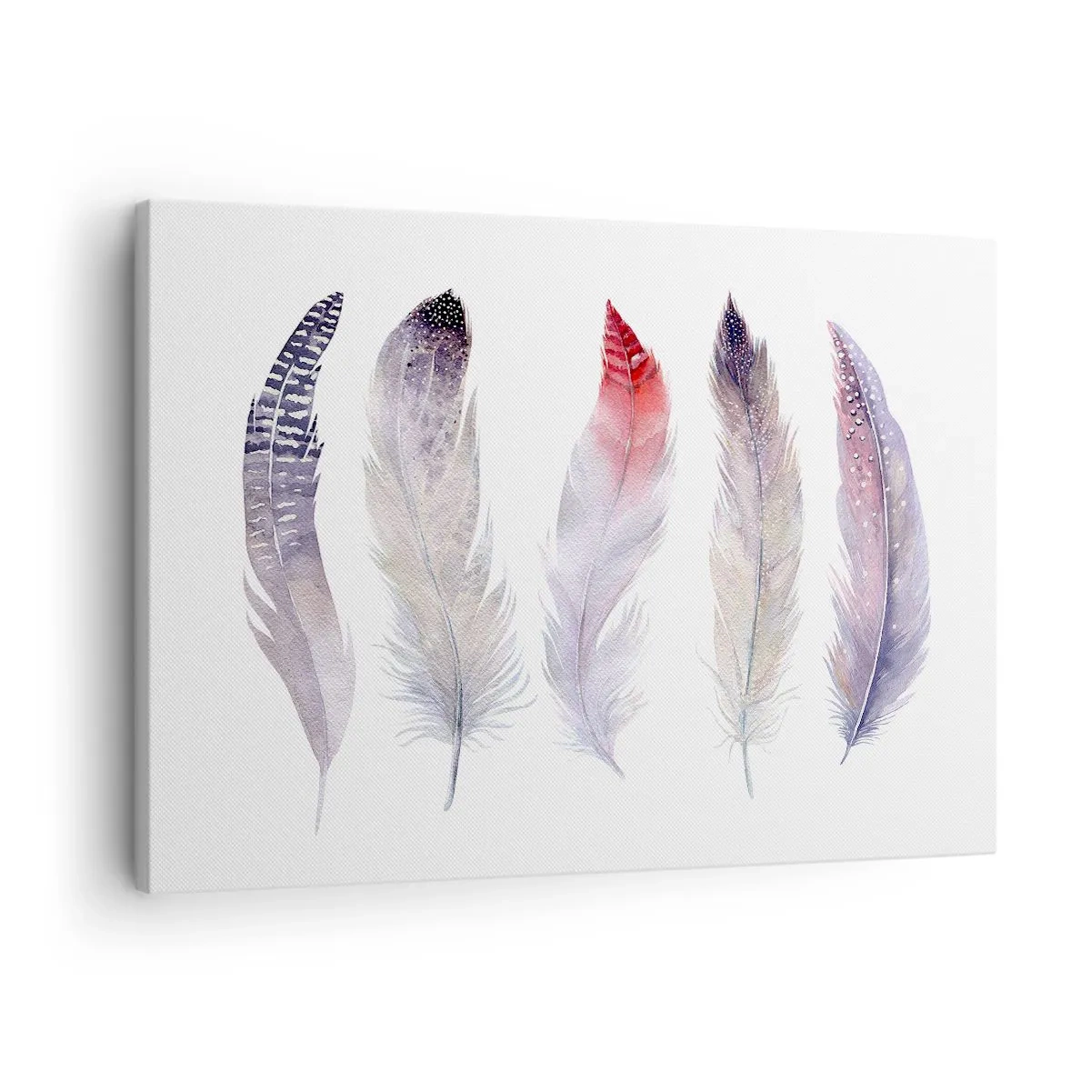 Impression sur toile - Image sur toile - Cinq plumes délicates aux tons pastel sur fond clair - 70x50cm - Délicat comme un brouillard multicolore - Décoration murale moderne pour le salon et la chambre ARTTOR