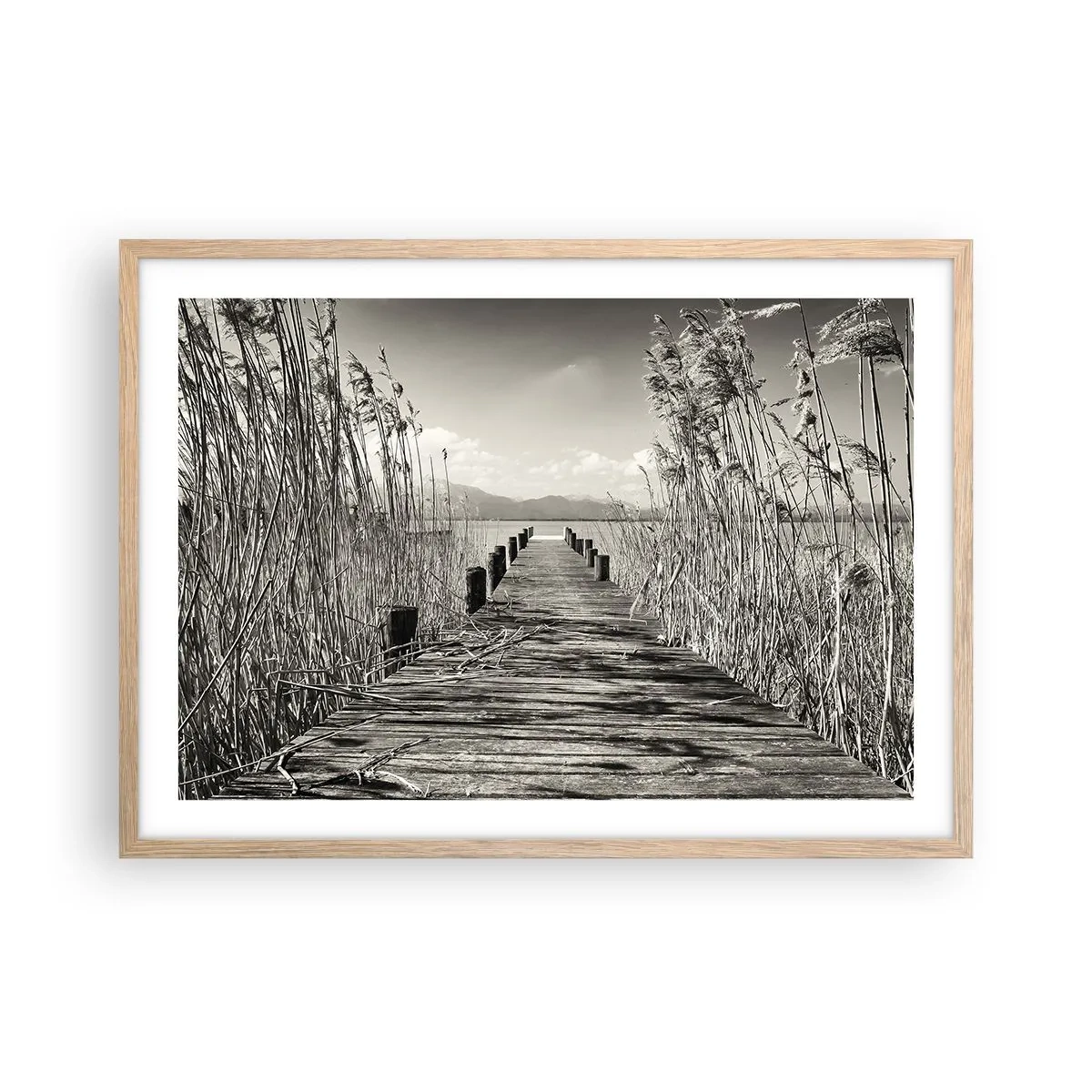 Affiche dans un chêne clair - Poster - Dans le calme de l'herbe - 70x50 cm