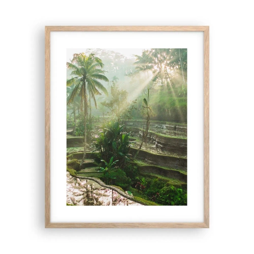 Affiche dans un chêne clair - Poster - Grandir au soleil - 40x50 cm