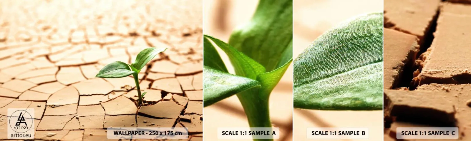 Échantillon de Papier Peint Autocollant Deluxe Sticker - La force indomptable de la vie - Nature, Usine, Sécheresse - 100x30 cm