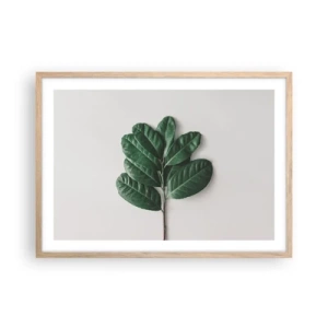 Affiche dans un chêne clair - Poster - Dessin de la nature elle-même - 70x50 cm
