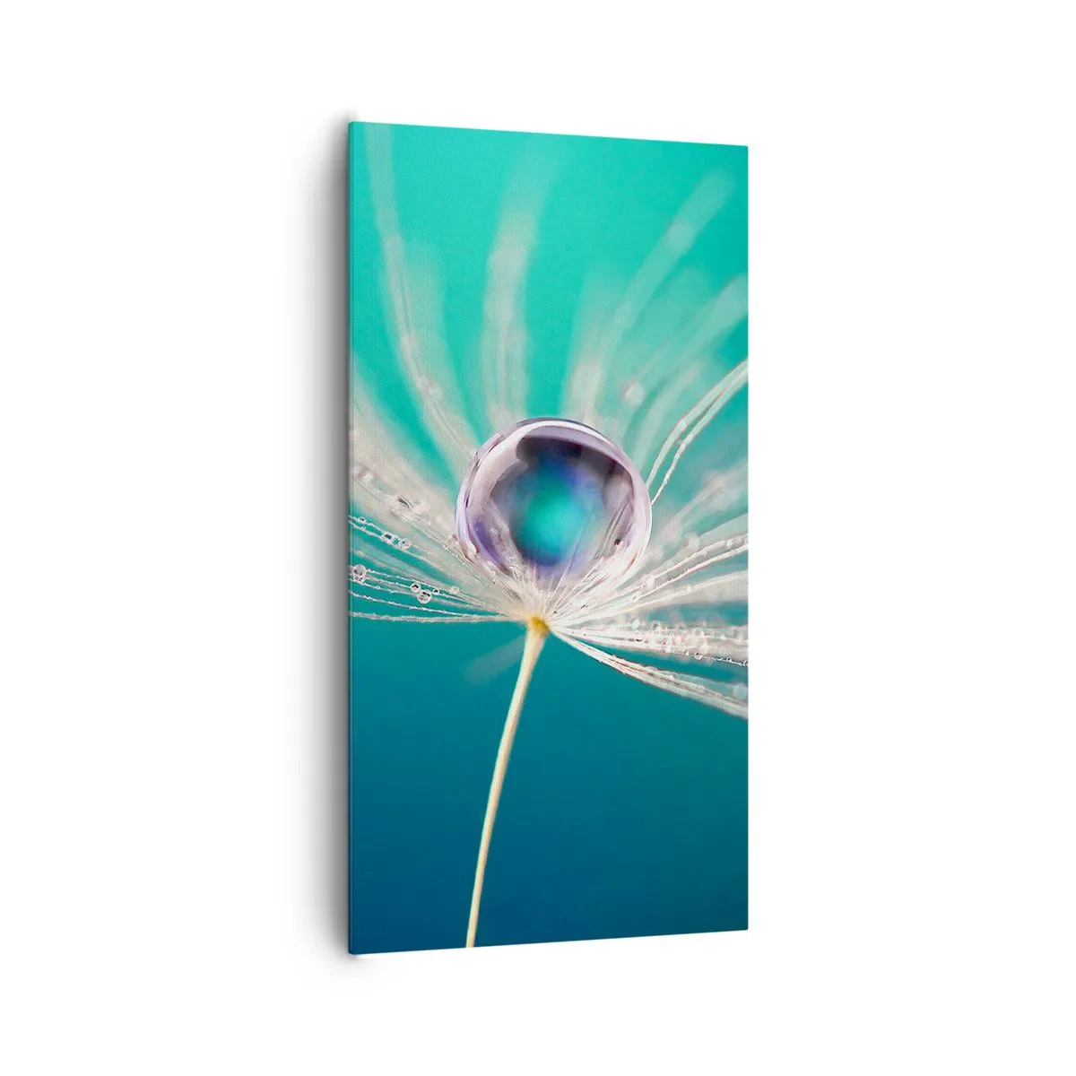 Impression sur toile - Image sur toile - Moment mystique - 65x120 cm