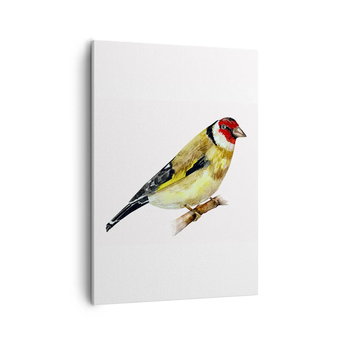 Impression sur toile - Image sur toile - Un oiseau à tête rouge sur une branche - 50x70cm - Portrait d'oiseau - Décoration murale moderne pour le salon et la chambre ARTTOR