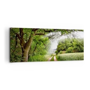 Impression sur toile - Image sur toile - Un chemin de terre parmi les arbres verts et la lumière du soleil - 120x50cm - Et in Arcadia ego - Décoration murale moderne pour le salon et la chambre ARTTOR