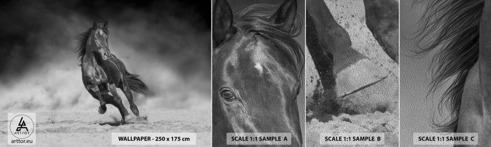 Échantillon de Papier Peint Premium Sand - Digne de l'émir lui-même - Cheval, Animaux, Nature - 100x30 cm