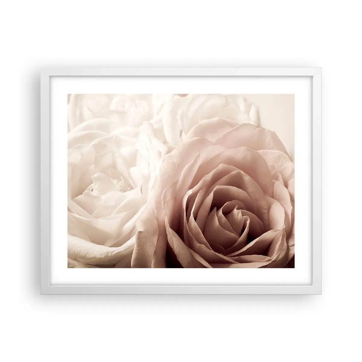 Affiche dans un cadre blanc - Poster - Au coeur d'ue la rose - 50x40 cm
