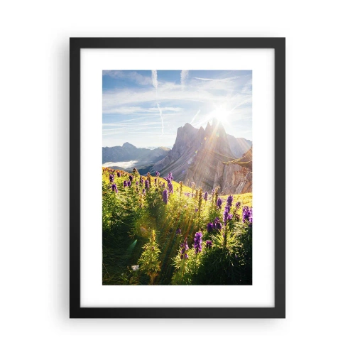 Affiche dans un cadre noir - Poster - La vie secrète des herbes - 30x40 cm