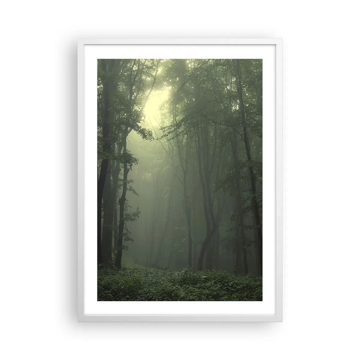 Affiche dans un cadre blanc - Poster - Avant qu'il ne se réveille - 50x70 cm