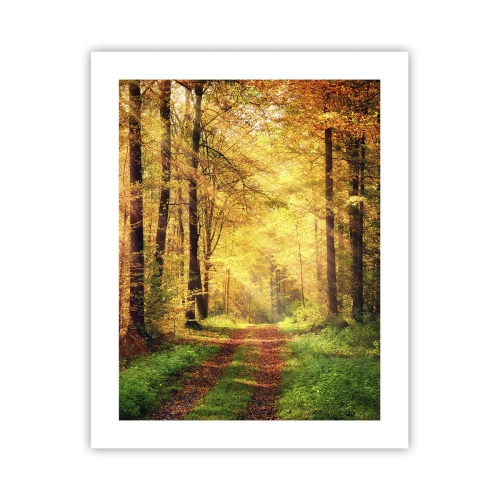 Affiche - Poster - Silence d'or en forêt - 40x50 cm