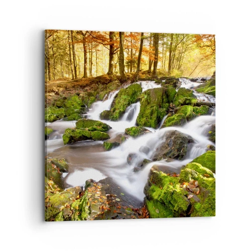 Impression sur toile - Image sur toile - Rapidement à travers la forêt d'automne - 70x70 cm