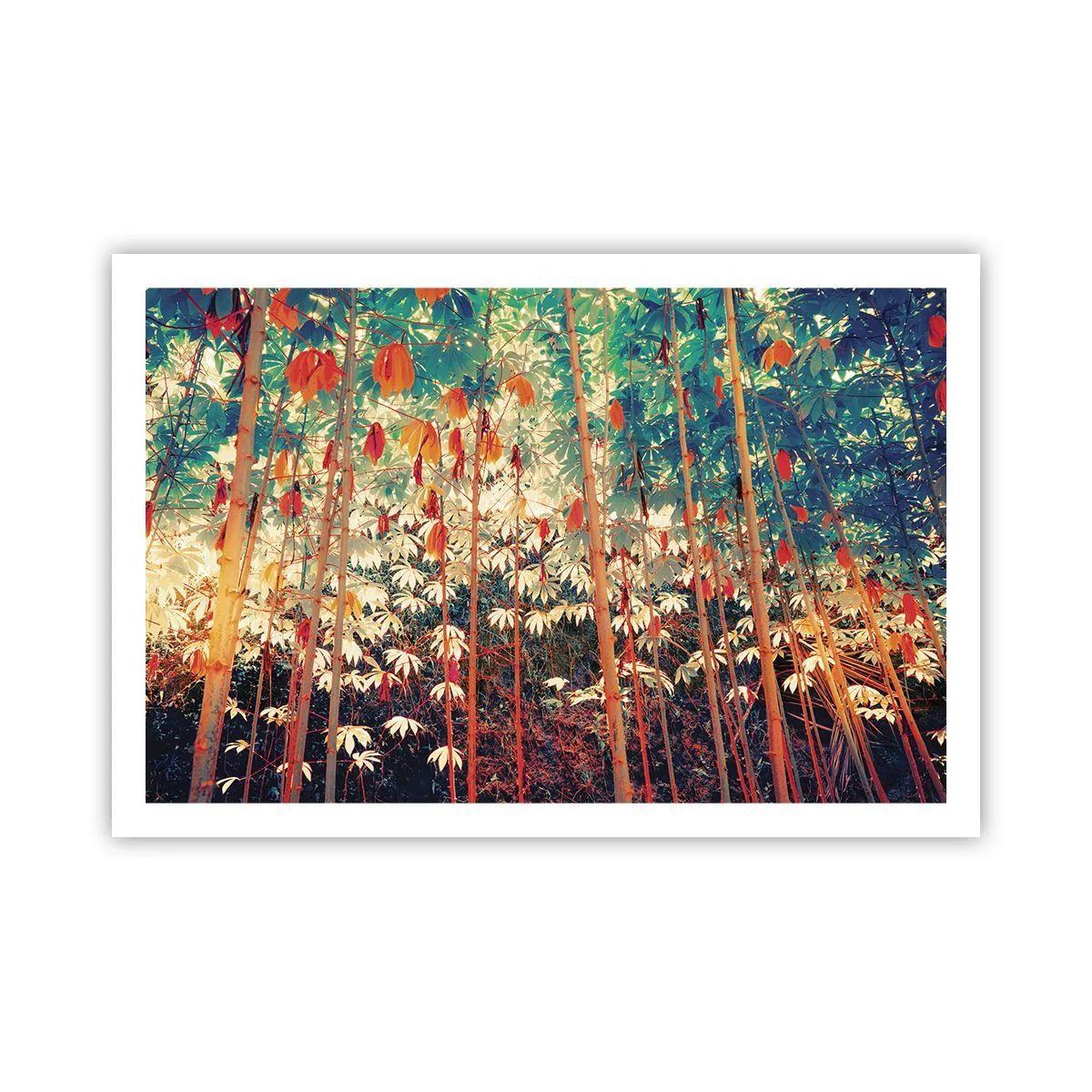 Affiche - Poster - La vie secrète des feuilles - 91x61 cm