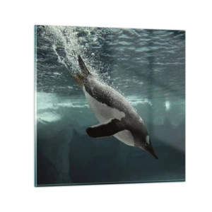 Impression sur verre - Image sur verre - Bienvenue dans mon monde - 70x70 cm