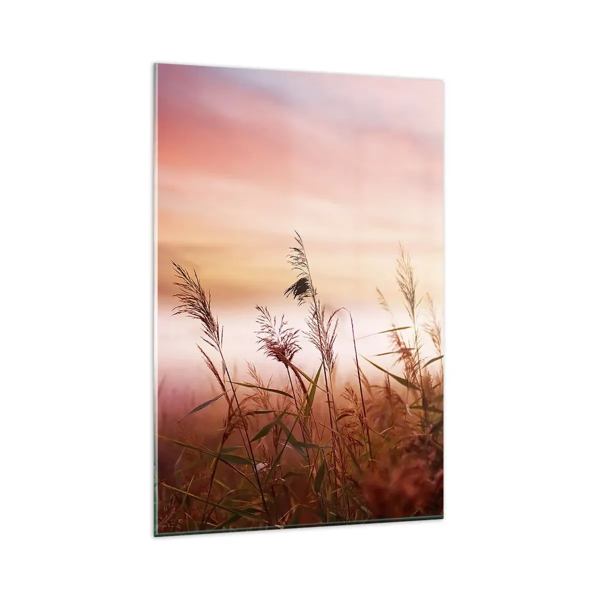 Impression sur verre - Image sur verre - Un champ d'herbe sur fond de coucher de soleil pittoresque - 80x120cm - Cerfs-volants, pissenlits, vent - Décoration murale moderne pour le salon et la chambre ARTTOR