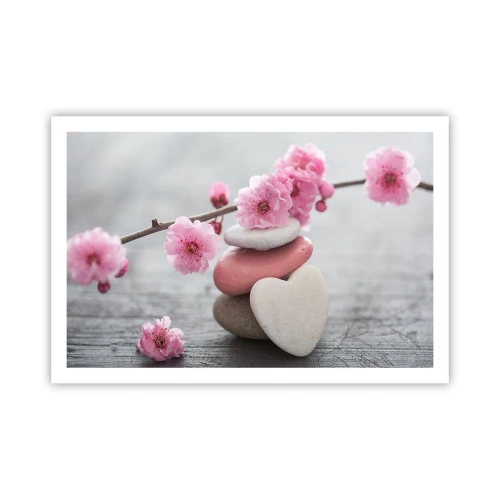Affiche - Poster - Le bonheur avec une fleur de cerisier - 91x61 cm