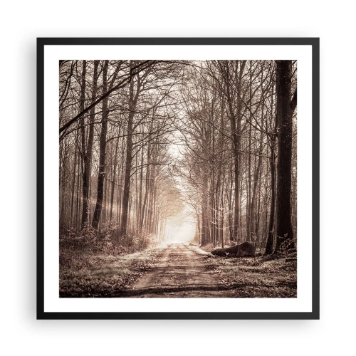 Affiche dans un cadre noir - Poster - Cathédrale de la forêt - 60x60 cm