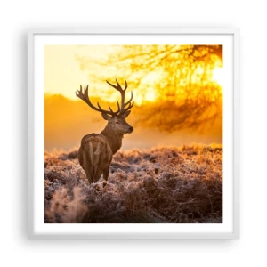 Affiche dans un cadre blanc - Poster - Roi de la forêt automnal - 60x60 cm