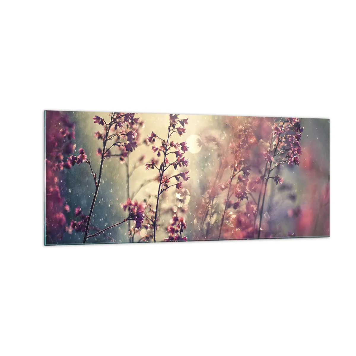 Impression sur verre - Image sur verre - Jardin secret - 100x40 cm