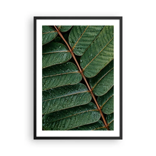 Affiche dans un cadre noir - Poster - Feuilles avec des gouttes d'eau créant une composition harmonieuse - 50x70cm - Au rythme de la verdure - Décoration murale moderne pour le salon et la chambre ARTTOR