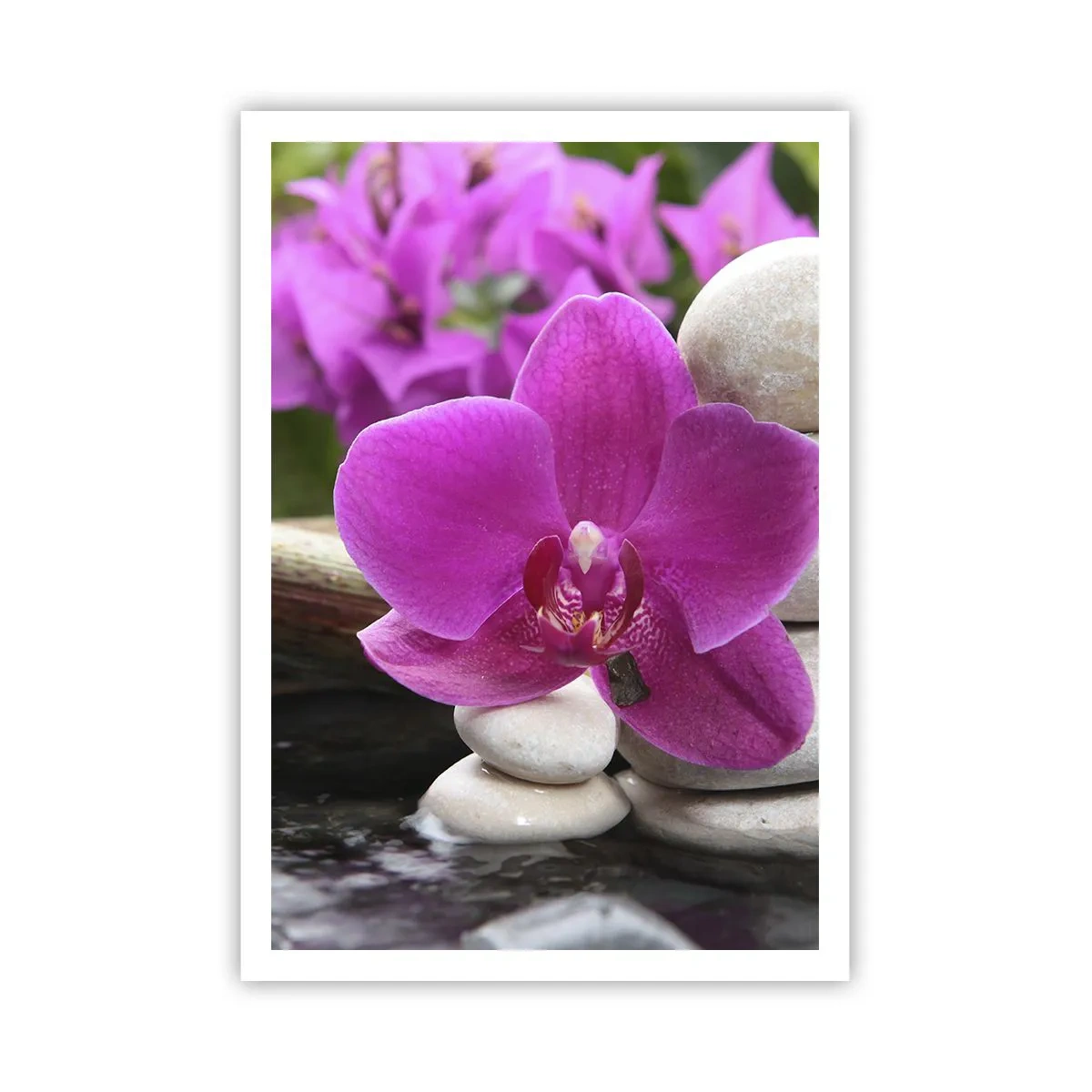 Affiche - Poster - Tu te reposes déjà - 70x100 cm