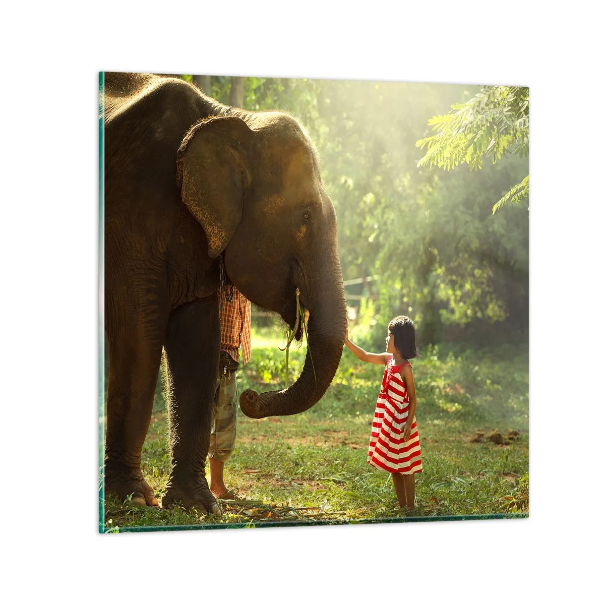 Impression sur verre - Image sur verre - La force de l'amitié - 30x30 cm