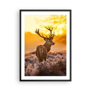 Affiche dans un cadre noir - Poster - Un cerf sur fond de lever de soleil doré - 50x70cm - Roi de la forêt automnal - Décoration murale moderne pour le salon et la chambre ARTTOR