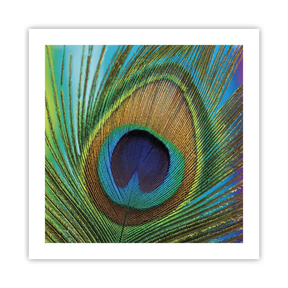 Affiche - Poster - Les yeux dans les yeux - 50x50 cm
