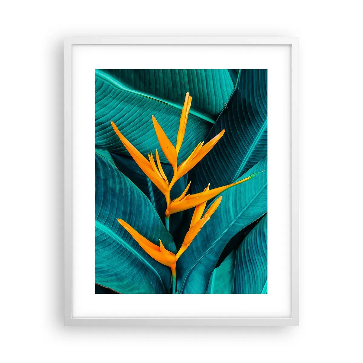 Affiche dans un cadre blanc - Poster - Fleur d'Eden - 40x50 cm