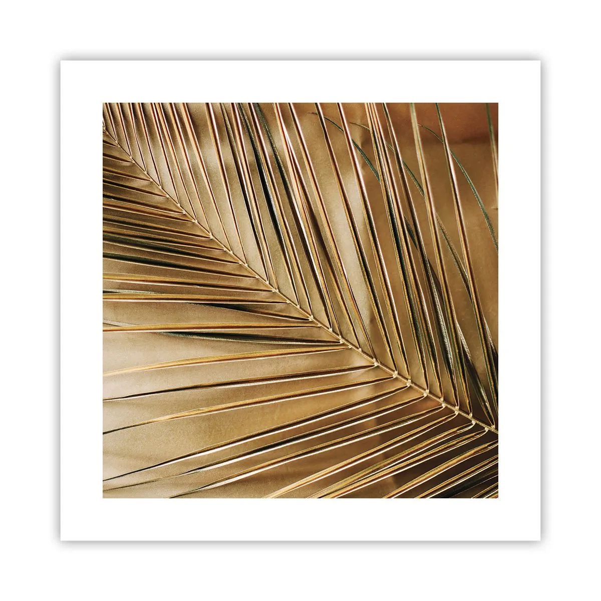 Affiche - Poster - Colonnade naturelle - 40x40 cm