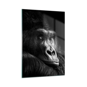 Impression sur verre - Image sur verre - Portrait noir et blanc d'un gorille à l'ombre d'une fenêtre - 50x70cm - Et qu'est-ce que tu regardes? - Décoration murale moderne pour le salon et la chambre ARTTOR
