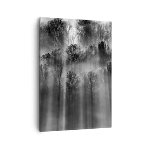 Impression sur toile - Image sur toile - Forêt noire et blanche dans la lumière du matin - 50x70cm - Dans les flots de lumière - Décoration murale moderne pour le salon et la chambre ARTTOR