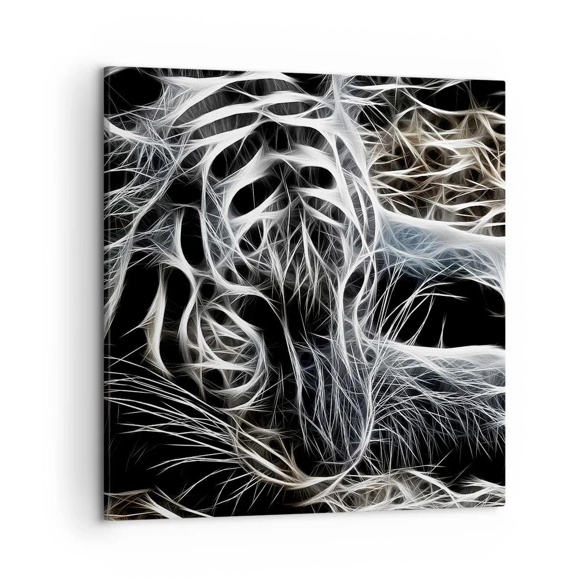 Impression sur toile - Image sur toile - Une étude de la légèreté du chat - 50x50 cm