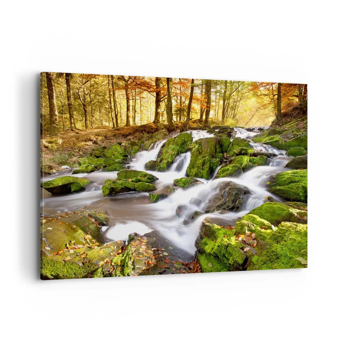 Impression sur toile - Image sur toile - Un paysage boisé avec une cascade entourée de mousse - 100x70cm - Rapidement à travers la forêt d'automne - Décoration murale moderne pour le salon et la chambre ARTTOR