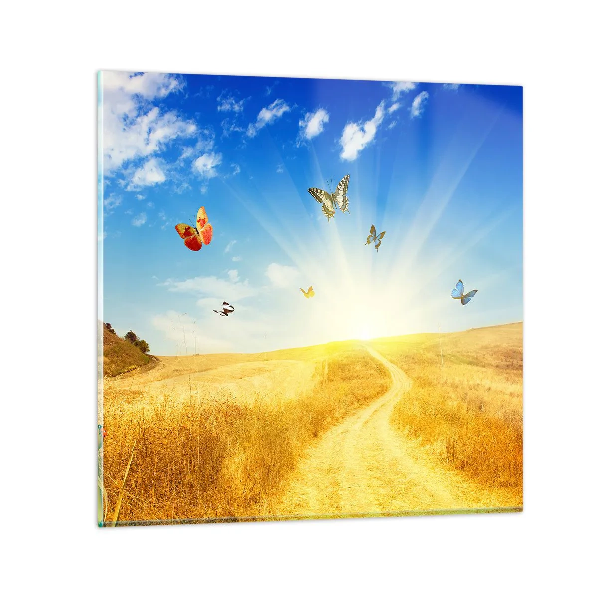 Impression sur verre - Image sur verre - Et comment ne pas aimer l'été ? - 50x50 cm