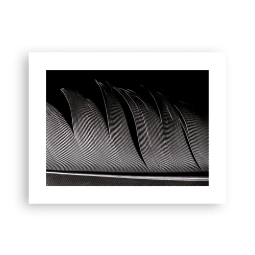 Affiche - Poster - La plume – un design magnifique - 40x30 cm