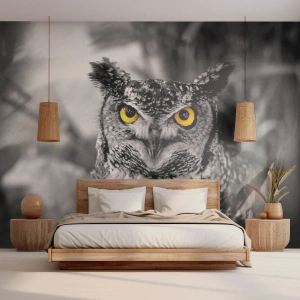 Papier Peint Photo Standard Eco - Rien ne se cachera - Des oiseaux, Hibou, Nature - 500x350 cm