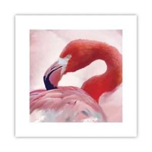 Affiche - Poster - Beauté des oiseaux - 30x30 cm