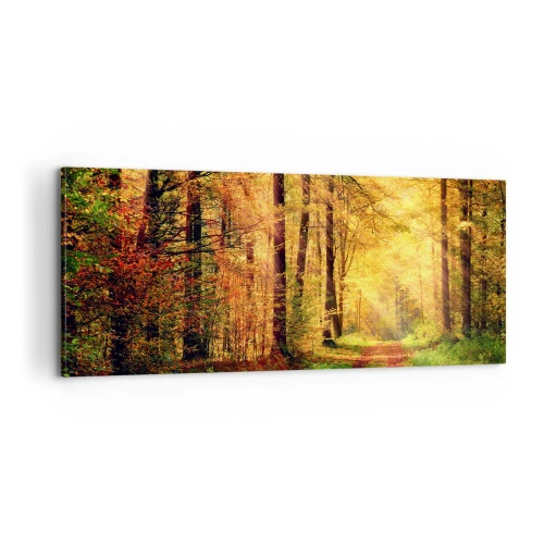 Impression sur toile - Image sur toile - Silence d'or en forêt - 100x40 cm