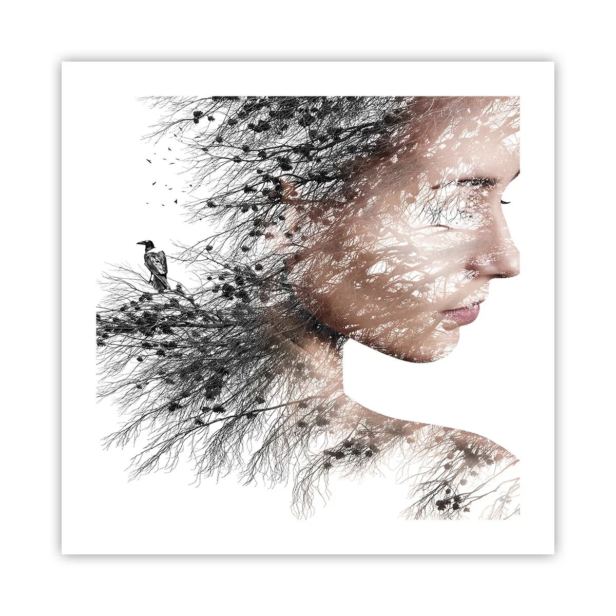 Affiche - Poster - L'âme de la forêt - 50x50 cm