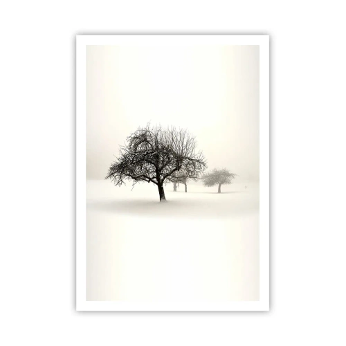Affiche - Poster - Un rêve hivernal - 70x100 cm
