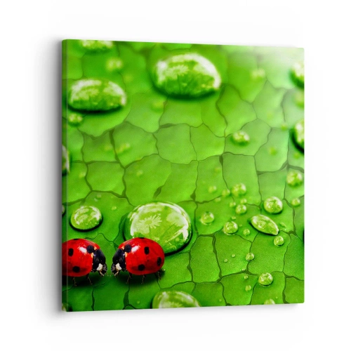 Impression sur toile - Image sur toile - Rendez-vous au vert - 30x30 cm