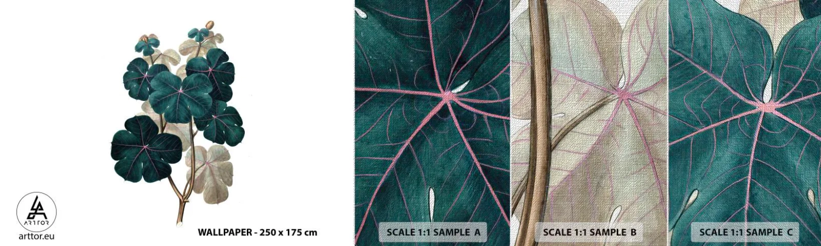 Échantillon de Papier Peint Premium Canvas - De l'ancien herbier - Usine, Feuilles, Botanique - 100x30 cm