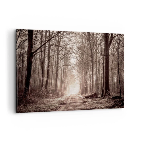 Impression sur toile - Image sur toile - Un chemin forestier parmi des arbres aux tons sépia - 120x80cm - Cathédrale de la forêt - Décoration murale moderne pour le salon et la chambre ARTTOR