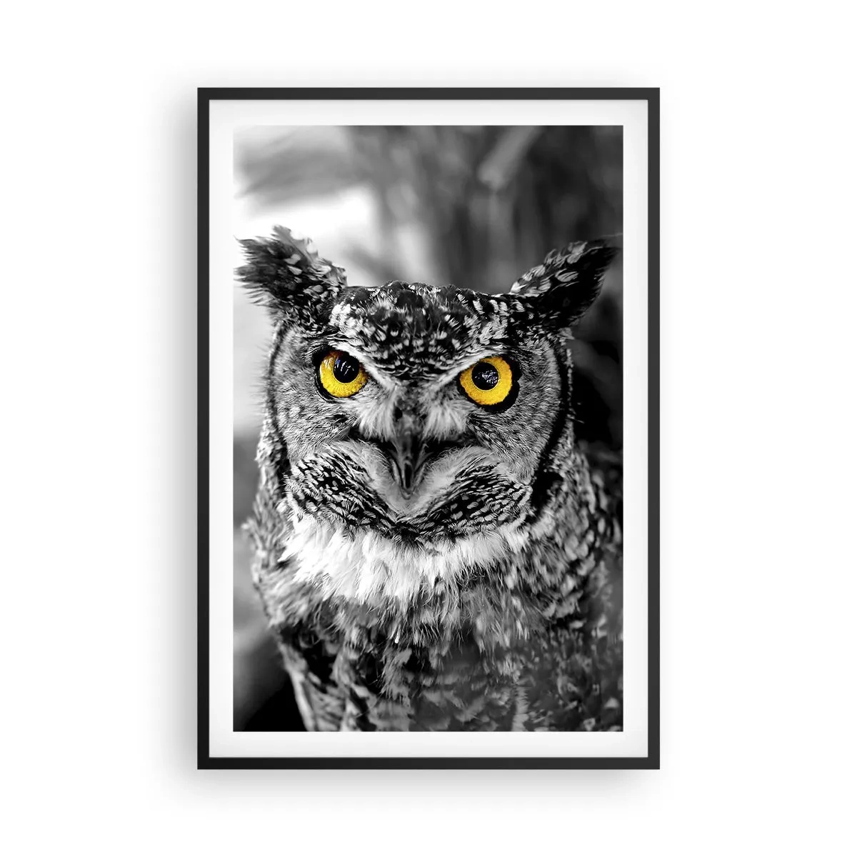 Affiche dans un cadre noir - Poster - Rien ne se cachera - 61x91 cm