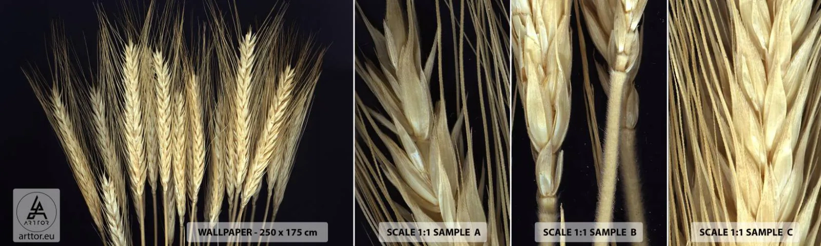 Échantillon De Papier Peint Standard Eco - Magie rustique - Céréale, Plantes, Nature - 100x30 cm