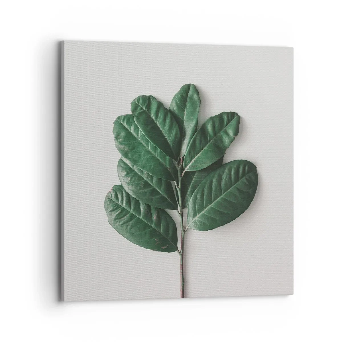 Impression sur toile - Image sur toile - Dessin de la nature elle-même - 70x70 cm