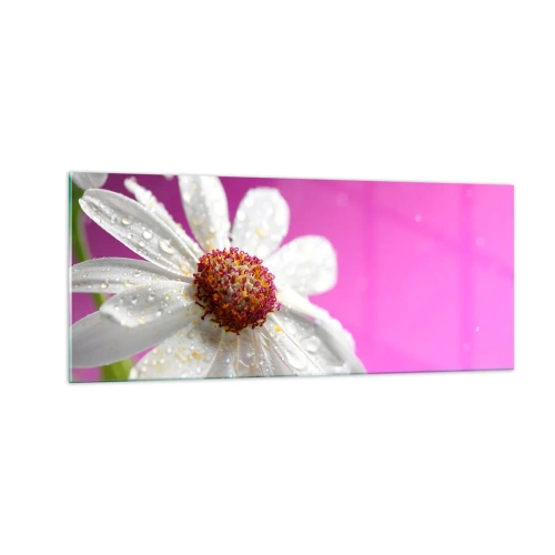 Impression sur verre - Image sur verre - Modeste dans sa beauté - 100x40 cm