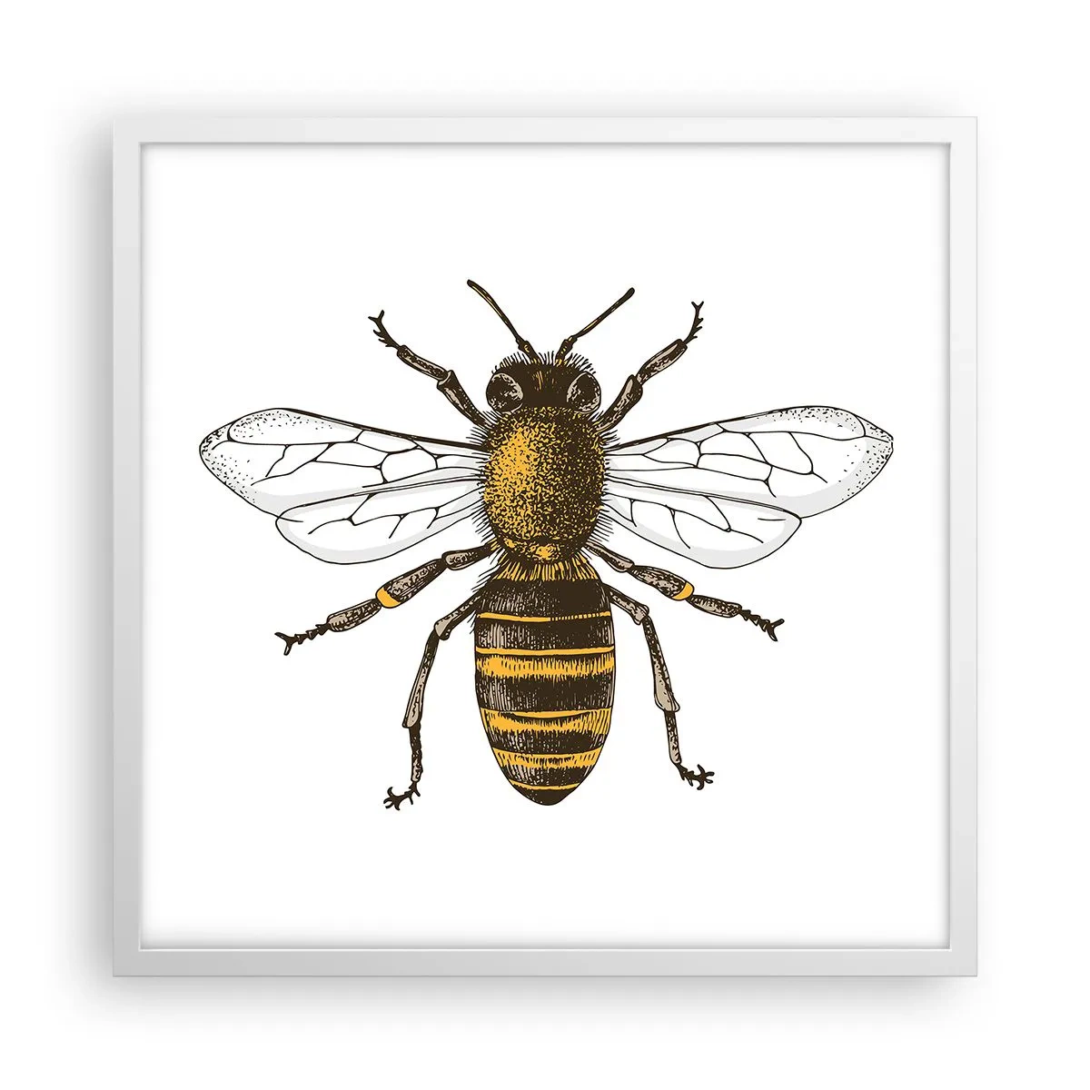 Affiche dans un cadre blanc - Poster - Belle et bonne - 50x50 cm