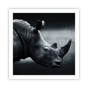 Affiche - Poster - Le profil droit - 60x60 cm