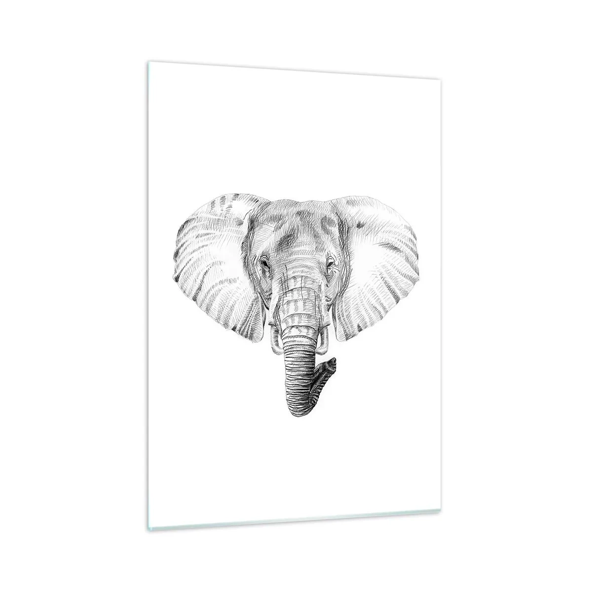 Impression sur verre - Image sur verre - Dessin en noir et blanc d'une tête d'éléphant sur fond blanc - 50x70cm - "Un éléphant ça trompe bien souvent" - Décoration murale moderne pour le salon et la chambre ARTTOR