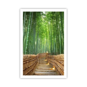 Affiche - Poster - L'essence de la nature asiatique - 61x91 cm